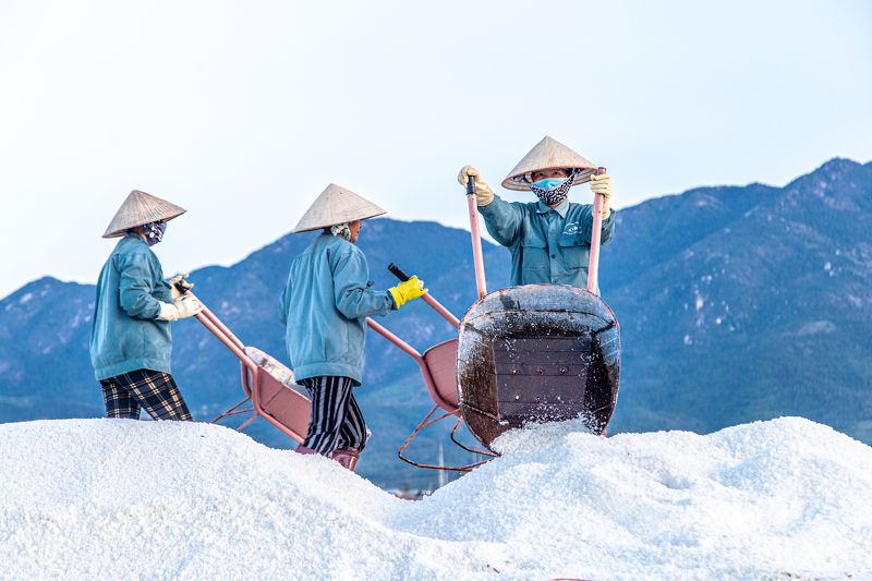 Salt fieldphoto preview