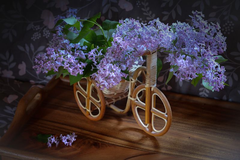 Я буду долго гнать велосипедphoto preview