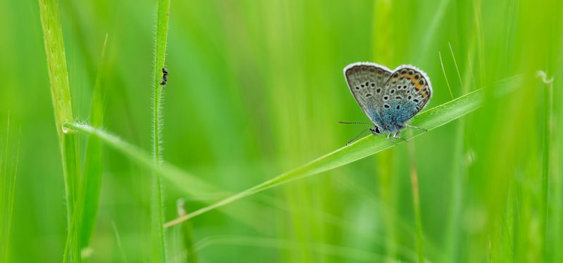 Meeting || Встречаphoto preview