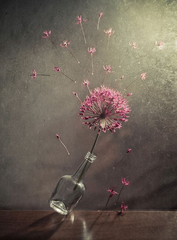 Свободаphoto preview