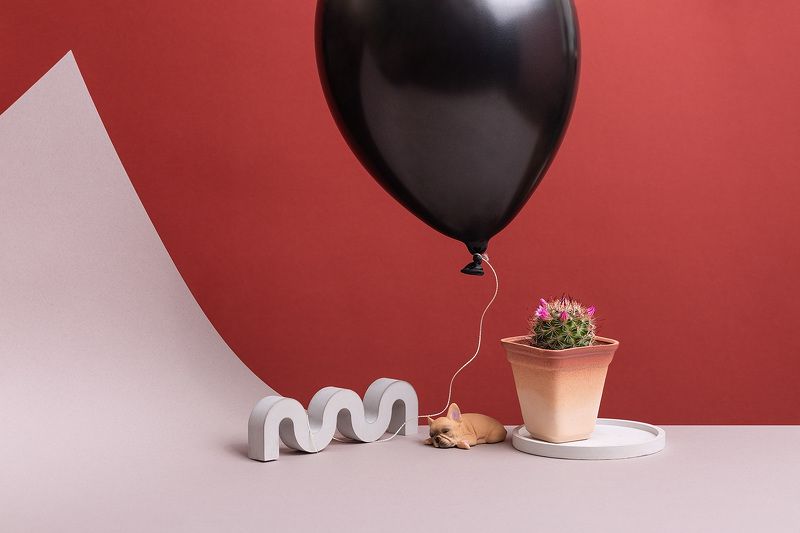 Последние мгновения тишиныphoto preview