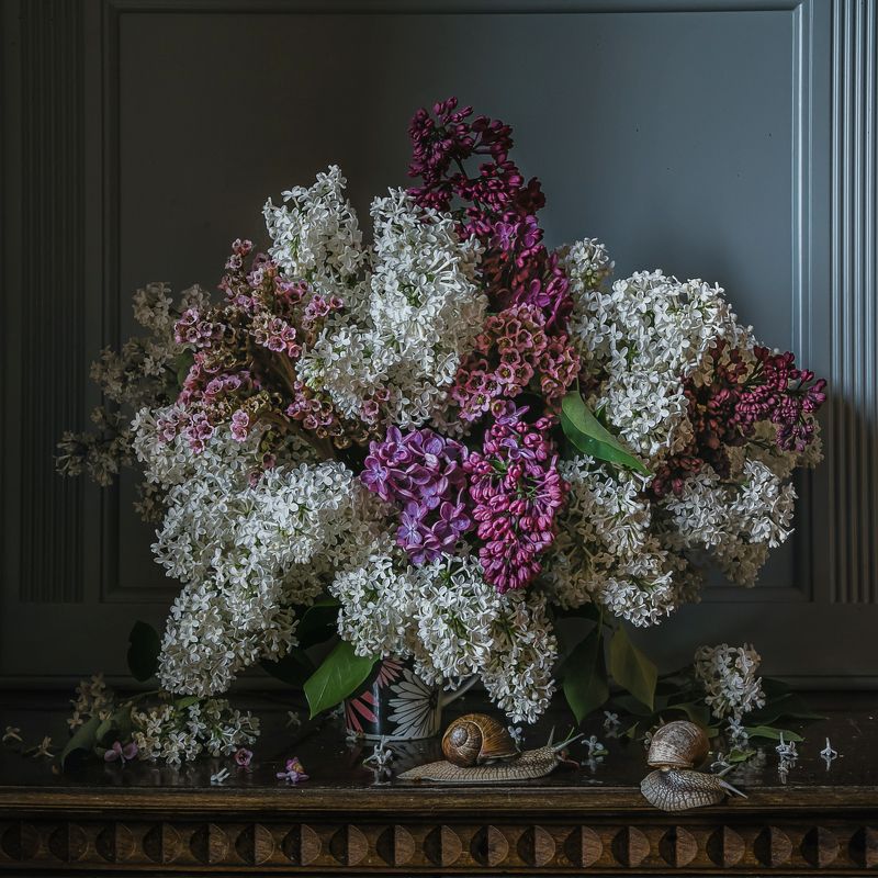 натюрморт, цветы, сирень, улитки Сирень и улиткиphoto preview