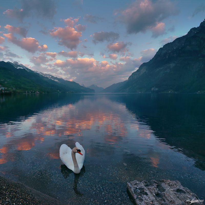 swiss,швейцария Утро..photo preview