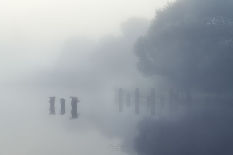 лето, утро, рассвет, туман, природа, пейзаж, россия, дунилово, отражение, тишина Неподвижностьphoto preview