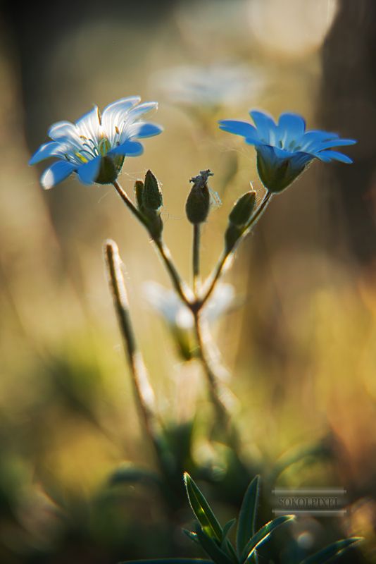 Свет и теньphoto preview