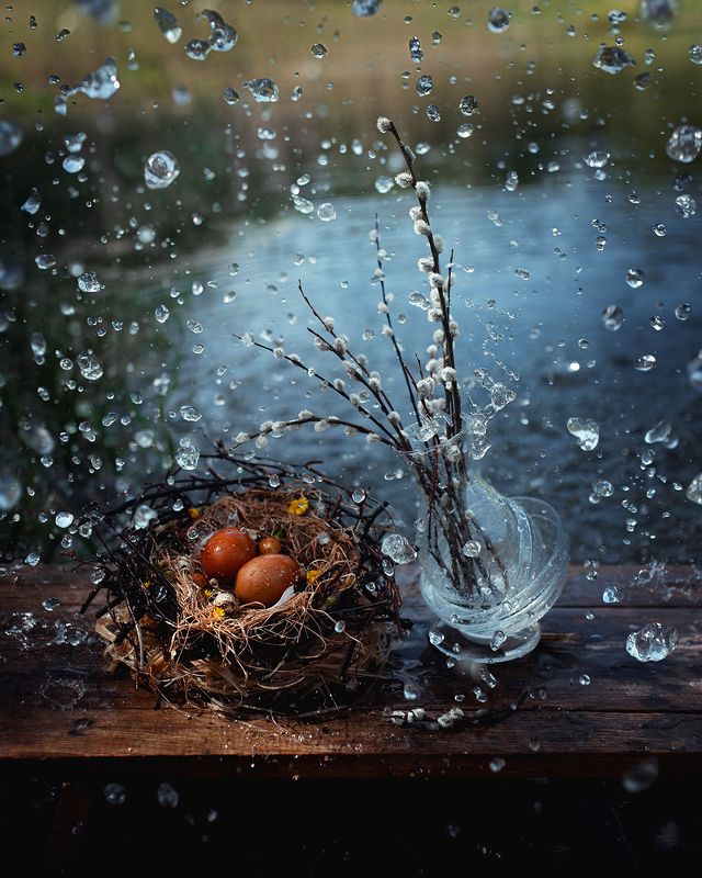 натюрморт, апрель, природа, верба 12 месяцев. Апрельphoto preview