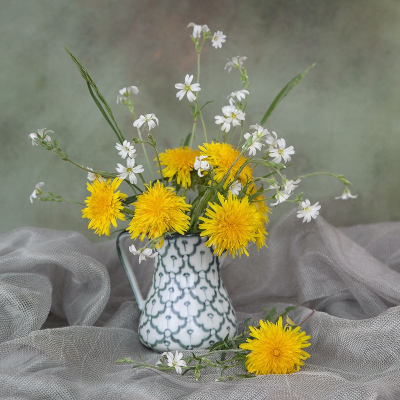 одуванчики Просто одуванчики...photo preview