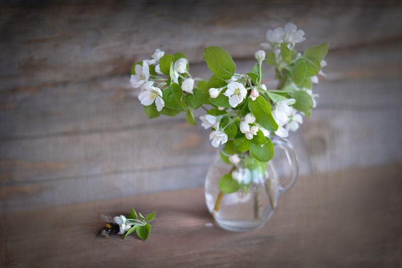 Влюбившись в яблоневый цветphoto preview