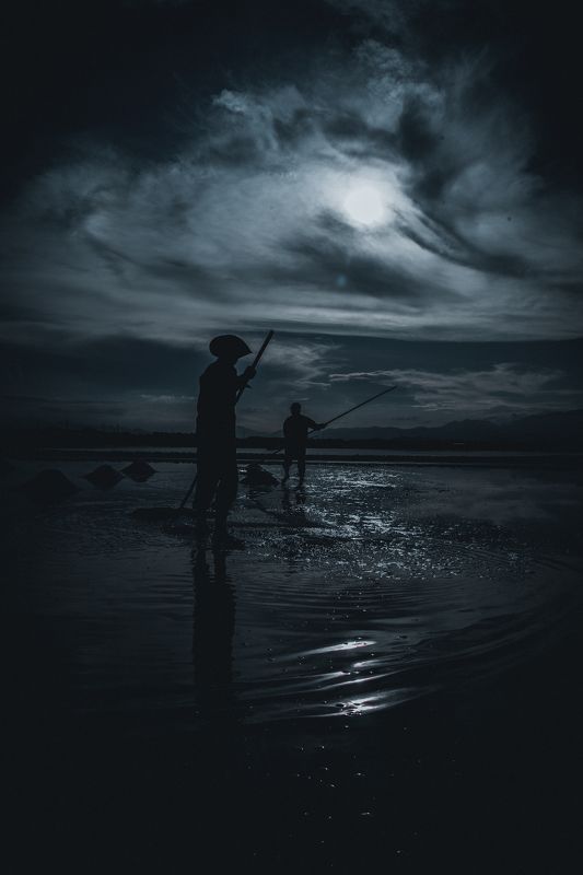 salt fieldphoto preview