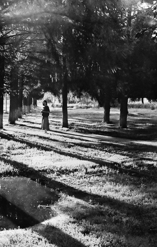 зенит ет, парк, пленка photo preview