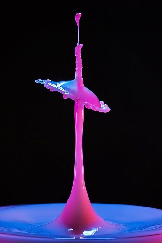 Milk Art фото превью