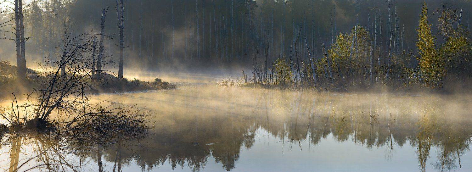 Между. Автор: Дмитрий Алексеев , Дмитрий Алексеев