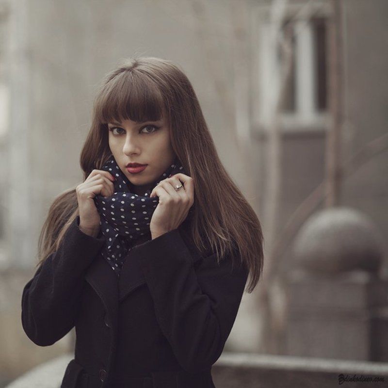 Звездиphoto preview