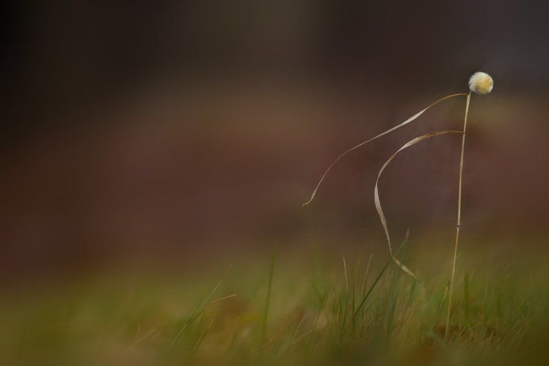 последняя прогулка...photo preview