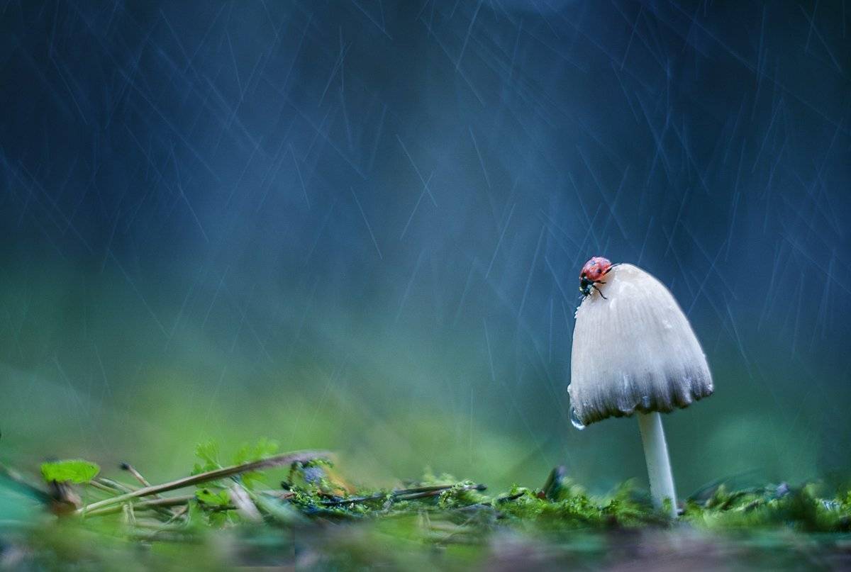 , Татьяна Аверина