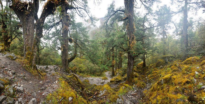 Окутанные тишинойphoto preview