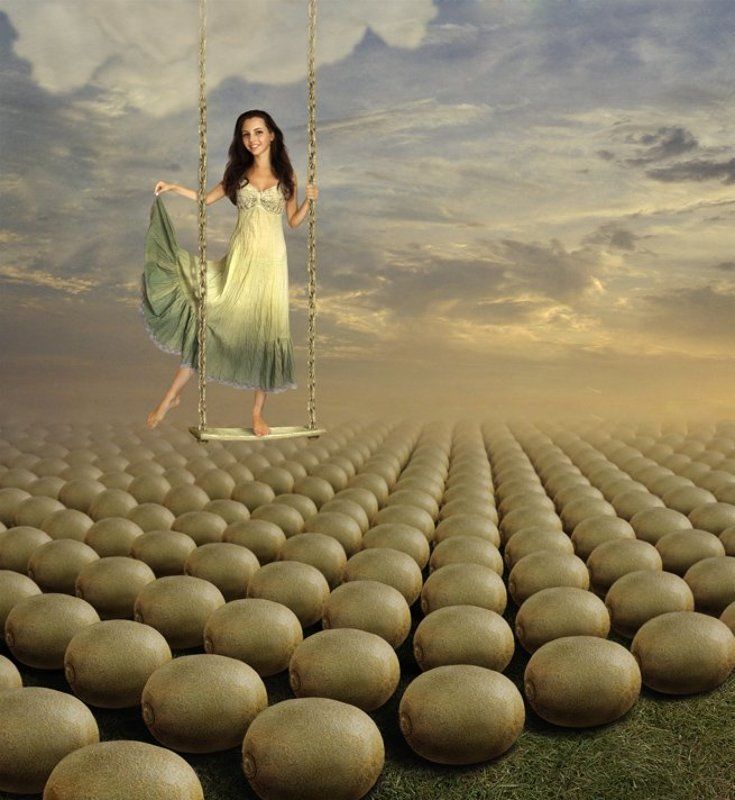 Страна золотых киви... фото превью