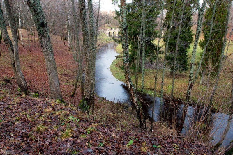 Поздняя осеньphoto preview