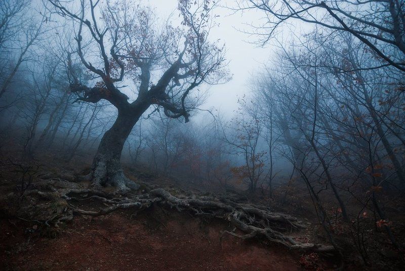 крым, демерджи Долина Привиденийphoto preview