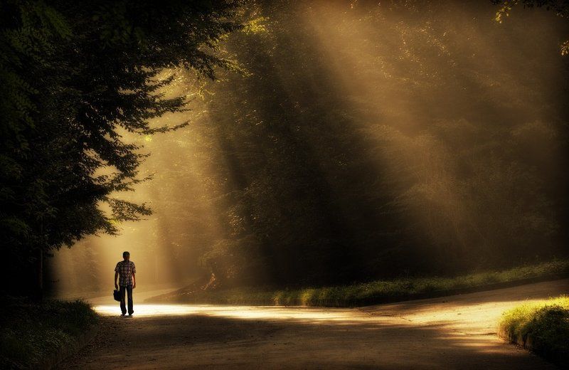 \\\\\\\\photo preview