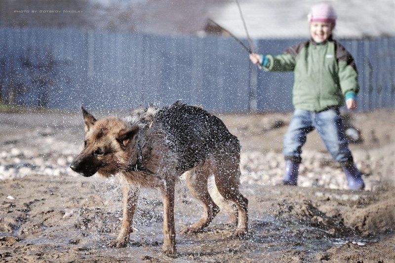 Ноябрьское купаниеphoto preview