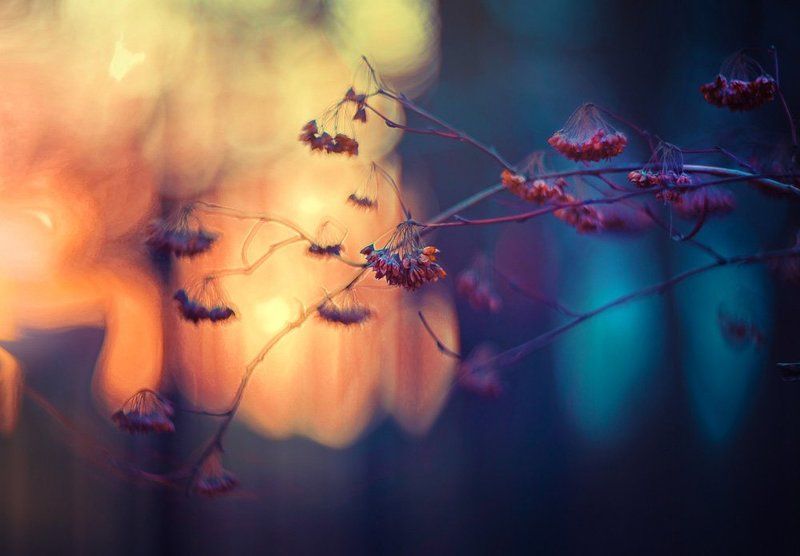 Уходящееphoto preview