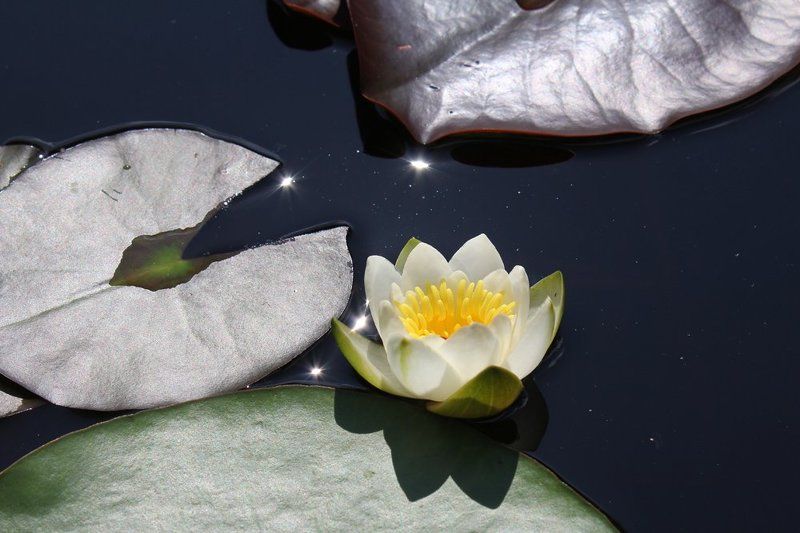 Зной...photo preview