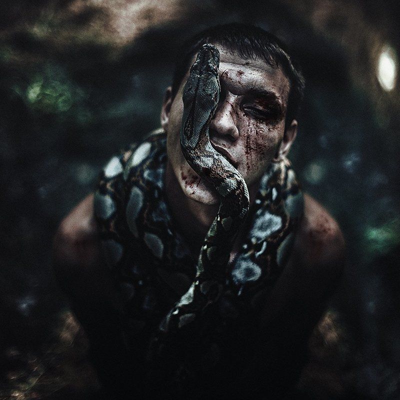 Snake, Змеи, Квадрат, Лес, Портрет liephoto preview