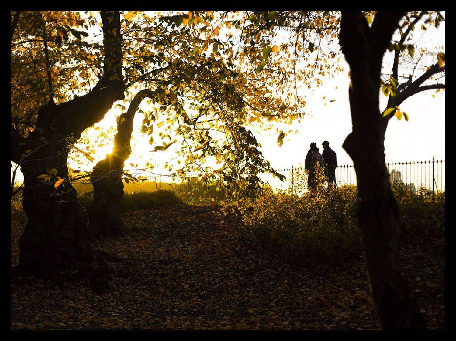 Goodbye autumn. Автор: Boris Zhitomirsky , Boris Zhitomirsky