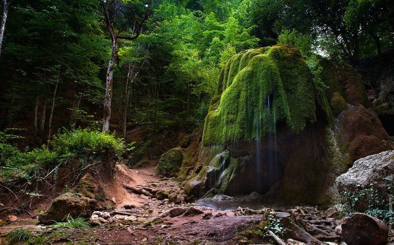 Водопад, Водопады, Воробей, Дмитрий воробей, Заповедник, Каньон, Крым, Пейзаж, Природа, Река Жемчужина Крымаphoto preview