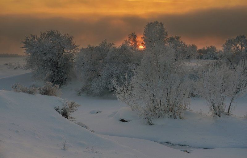 Про огнеокое фотожлобство и то, как Вероника Павловна, неудачно споткнувшись, ушибла коленную чашечку и локоток.photo preview