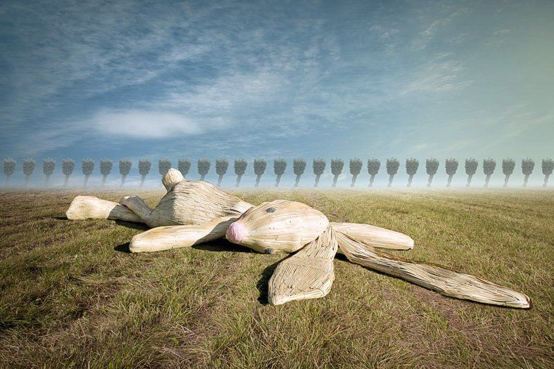 hectic dayphoto preview