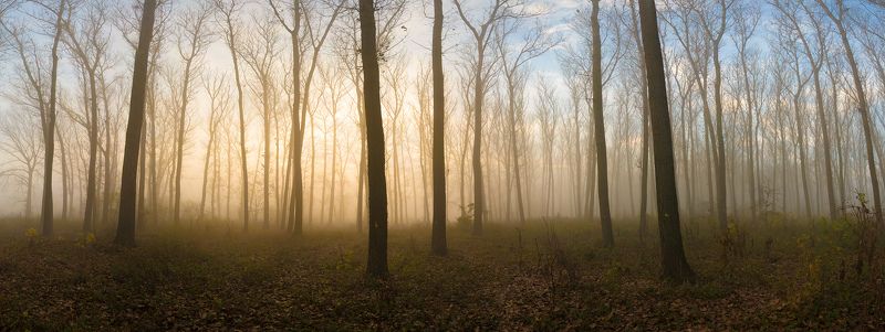 My Woodphoto preview