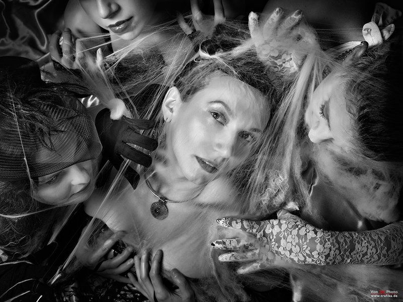 Im Netzphoto preview