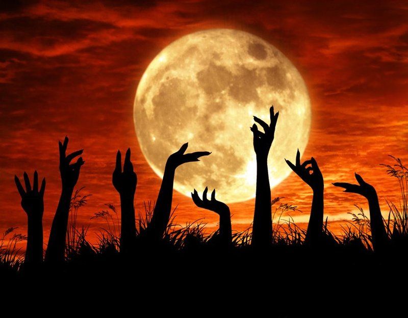 Bring me to life... фото превью