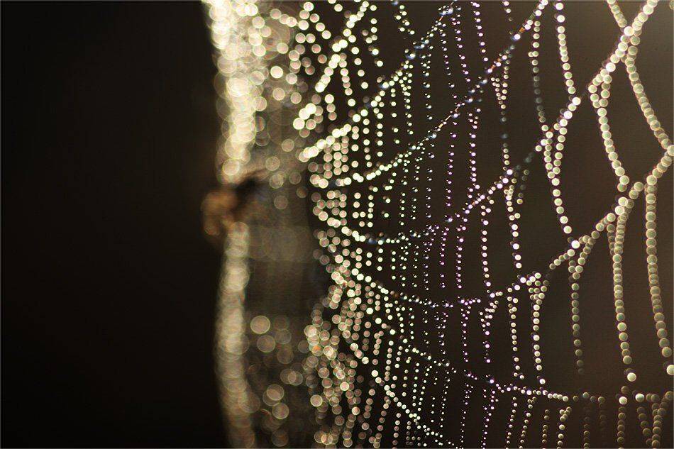 , Наталья Ова