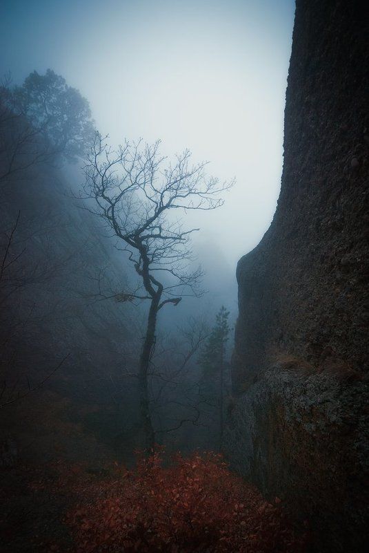 крым, демерджи Щельphoto preview