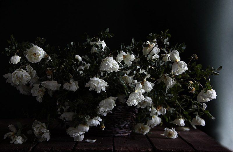 натюрморт, цветы В ожидании зимыphoto preview