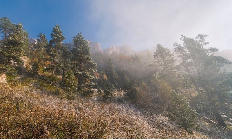 ОСЕНЬ БЫВАЕТ РАЗНАЯphoto preview