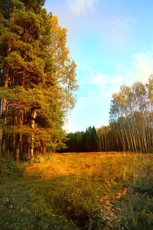 эдуард басов, пейзаж, мытищи photo preview