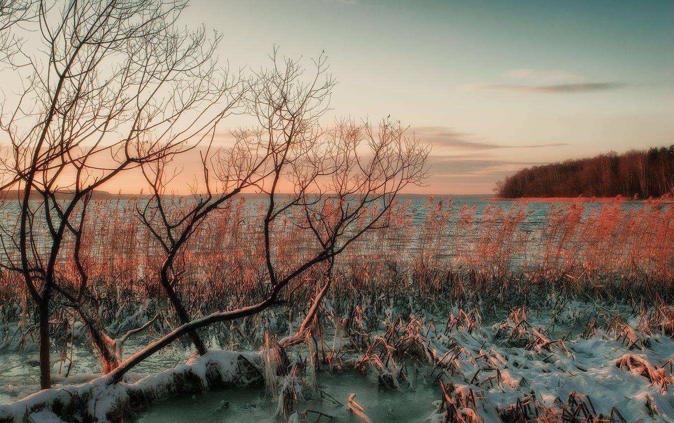, Владимир Липецких