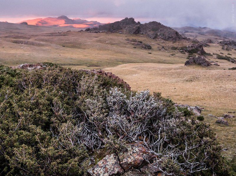 горы Бойкадын-тауphoto preview