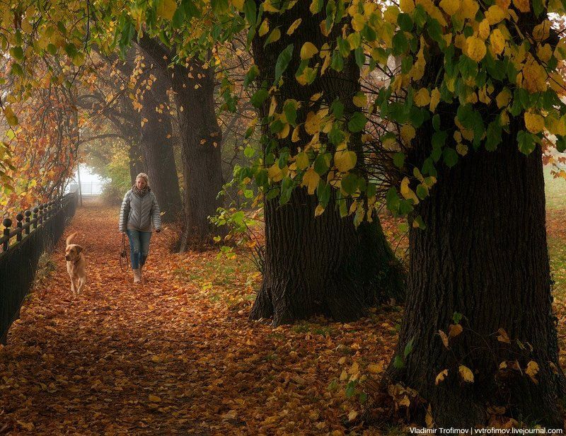 Austria Дама с собачкойphoto preview