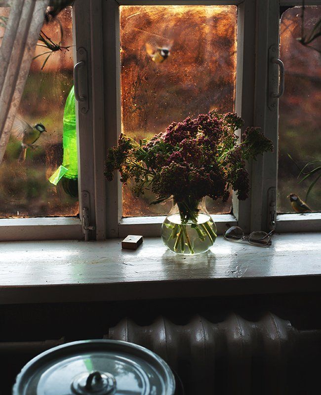 Скоро зимаphoto preview