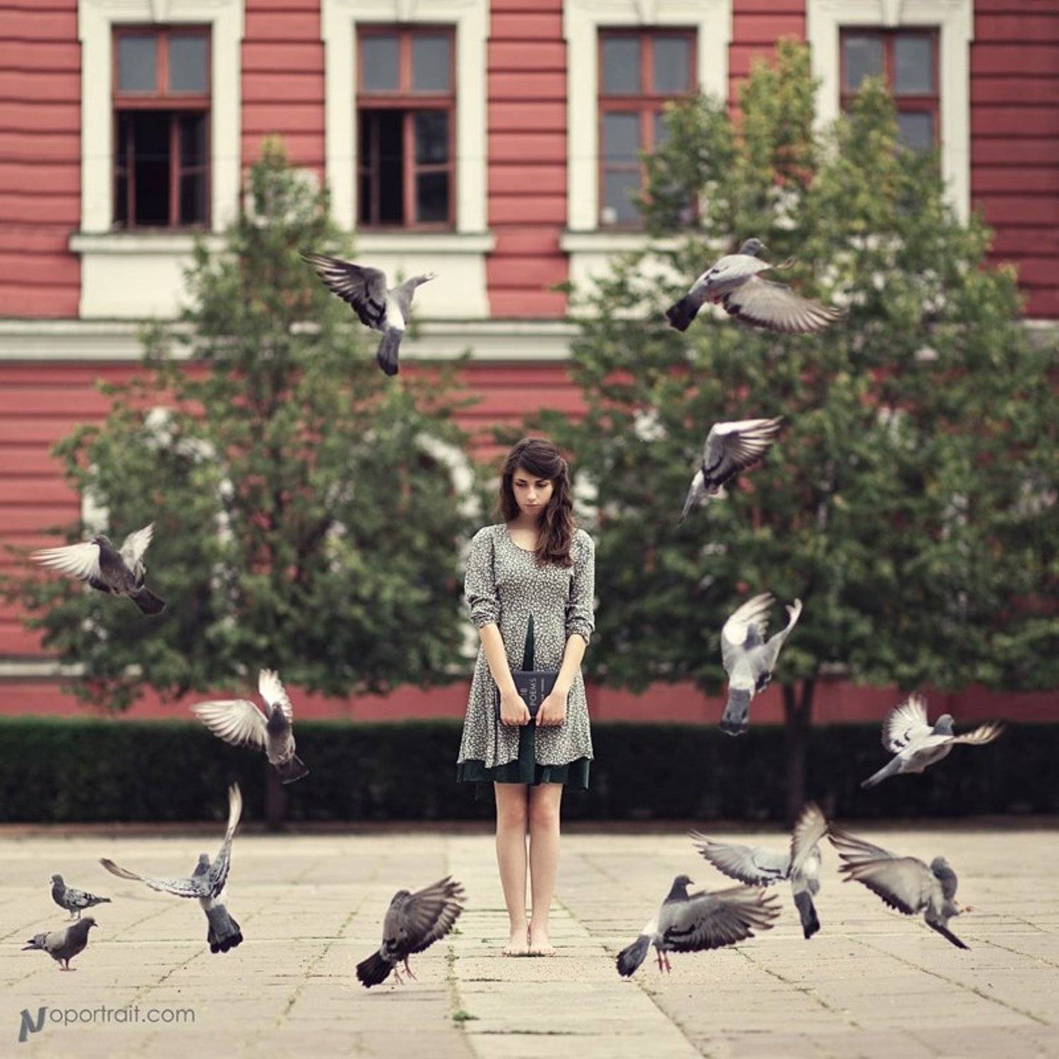 18 poems. Автор: Nikolay Kolev , Nikolay Kolev