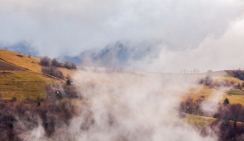 Утро фото превью