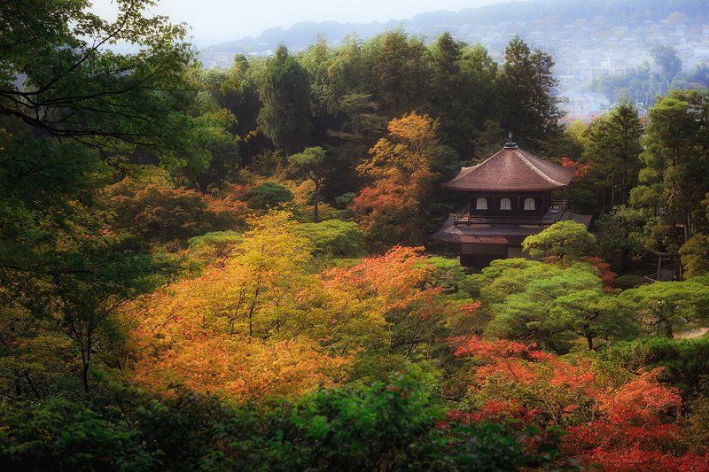 Autumn colors of Ginkaku-jiphoto preview