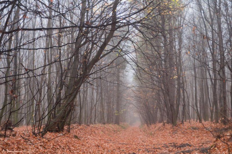 Дорога в позднюю осеньphoto preview