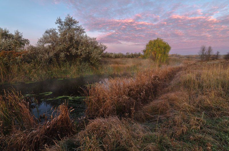 камыш, осень, рассвет, речка, туман Последние вздохи осениphoto preview