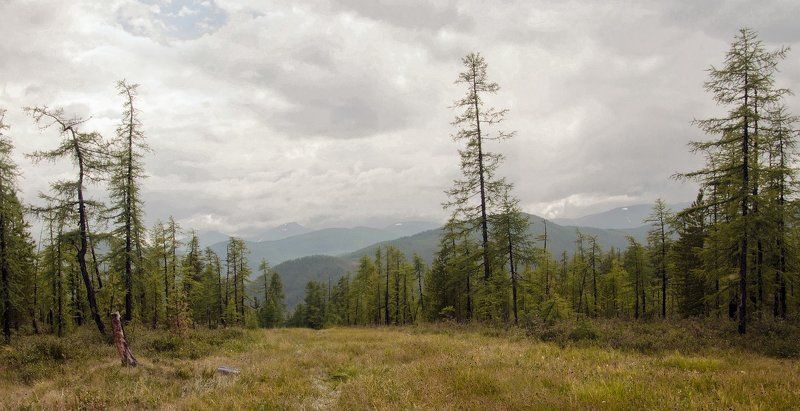 Здесь мягкий луг и чисты воды замена злату и сребру; здесь сам веселья я беру  из рук роскошныя природы. (И. Крылов)photo preview